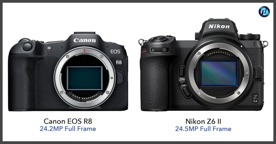 CanonEOSR8_vs_NikonZ6II_comparison_front