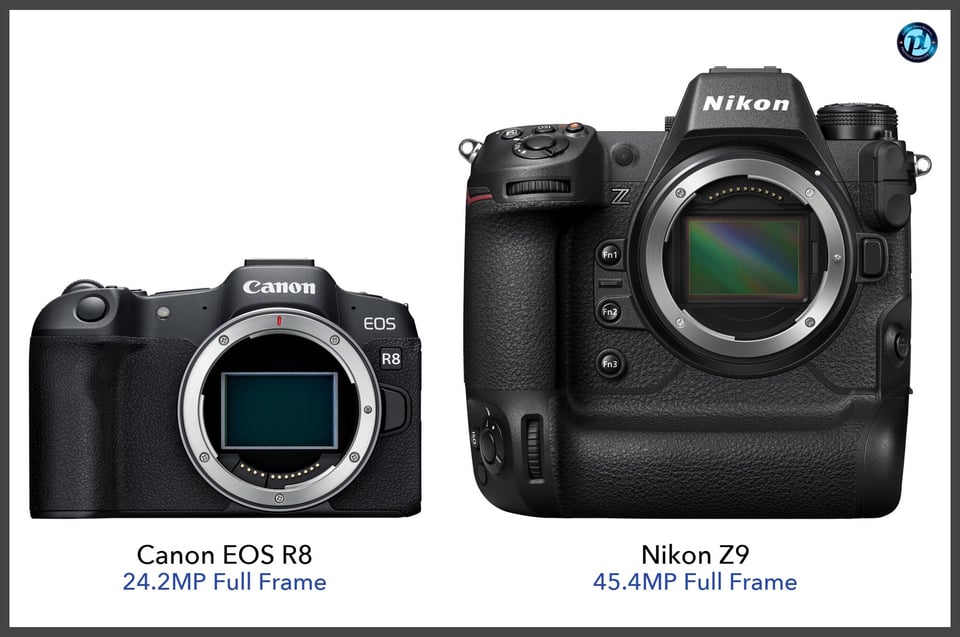 CanonEOSR8_vs_NikonZ9_comparison_front