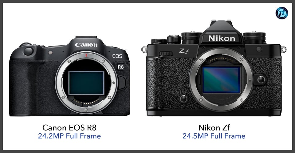 CanonEOSR8_vs_NikonZf_comparison_front