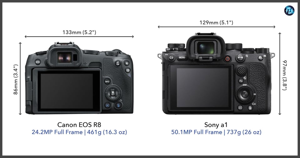 CanonEOSR8_vs_Sonya1_comparison_back