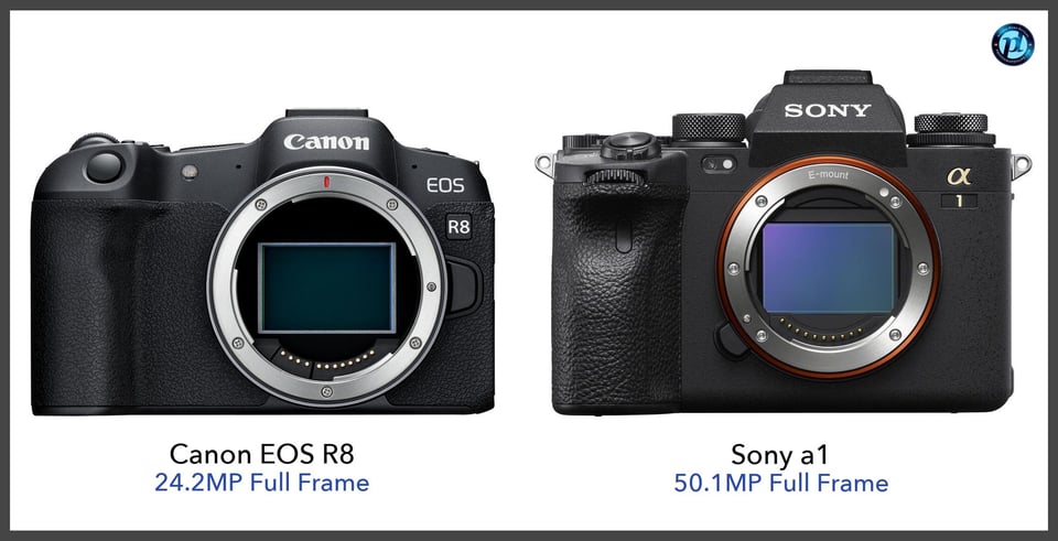 CanonEOSR8_vs_Sonya1_comparison_front