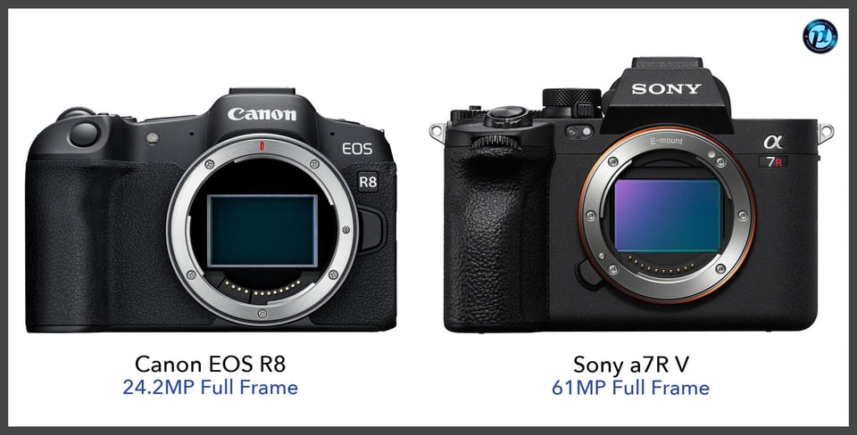 CanonEOSR8_vs_Sonya7RV_comparison_front