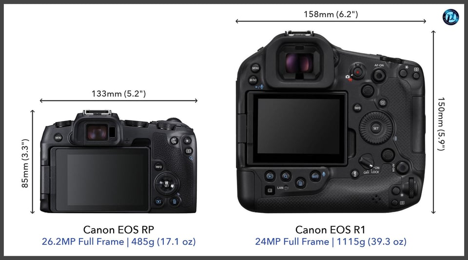 CanonEOSRP_vs_CanonEOSR1_comparison_back