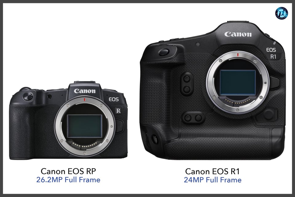 CanonEOSRP_vs_CanonEOSR1_comparison_front