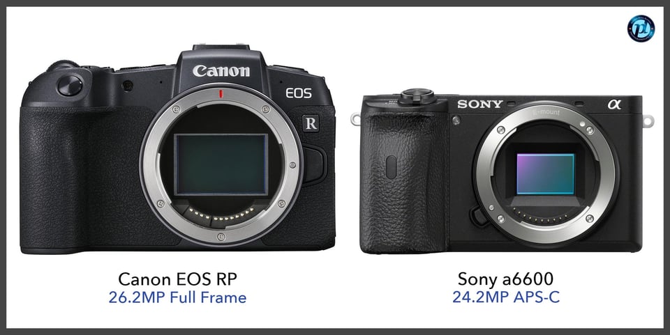 CanonEOSRP_vs_Sonya6600_comparison_front