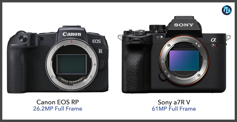 CanonEOSRP_vs_Sonya7RV_comparison_front