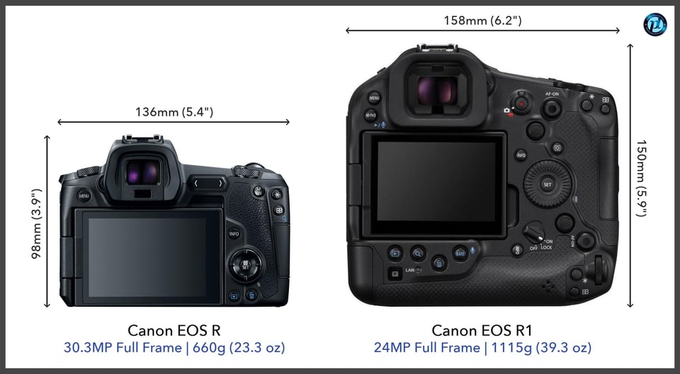 CanonEOSR_vs_CanonEOSR1_comparison_back