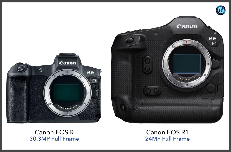 CanonEOSR_vs_CanonEOSR1_comparison_front