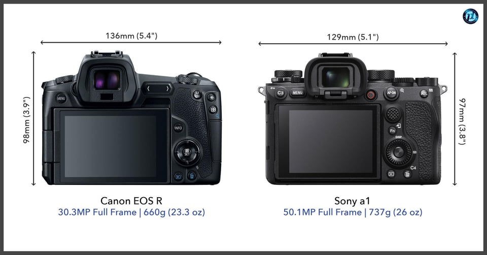 CanonEOSR_vs_Sonya1_comparison_back