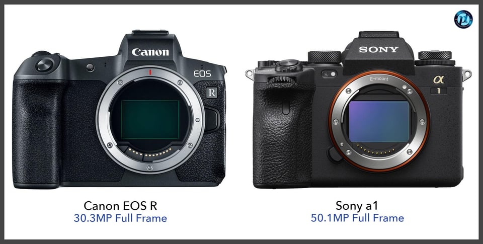 CanonEOSR_vs_Sonya1_comparison_front