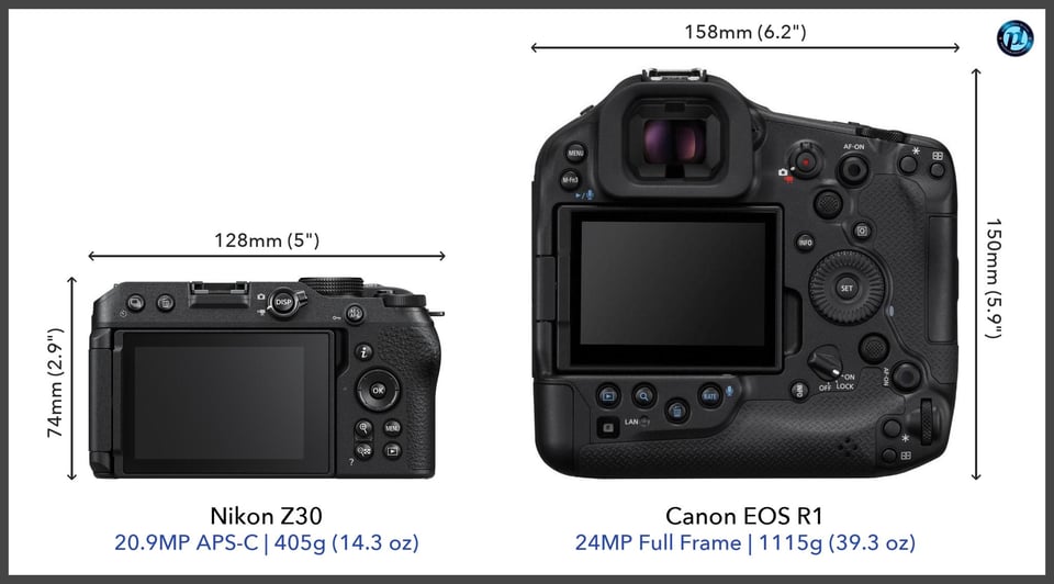 NikonZ30_vs_CanonEOSR1_comparison_back