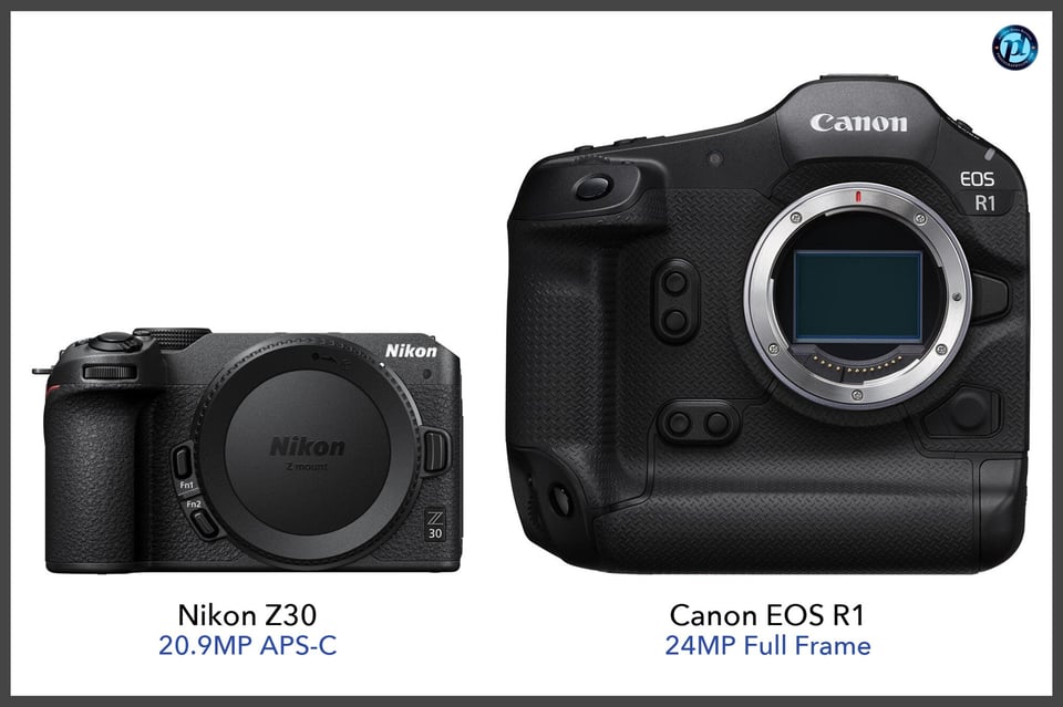 NikonZ30_vs_CanonEOSR1_comparison_front