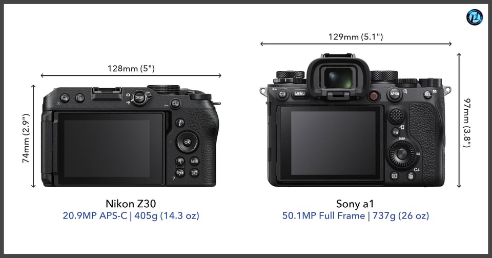 NikonZ30_vs_Sonya1_comparison_back