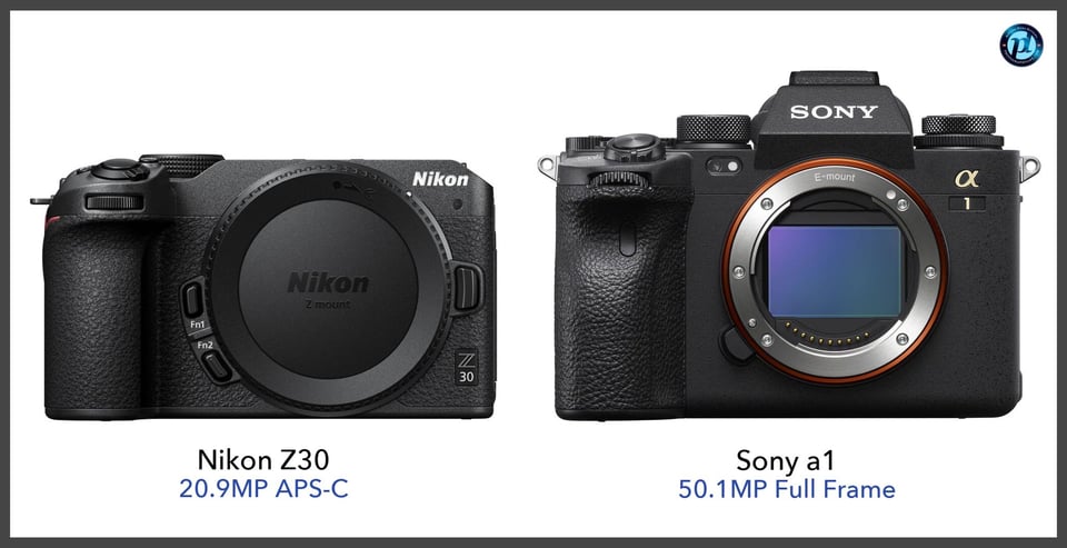 NikonZ30_vs_Sonya1_comparison_front