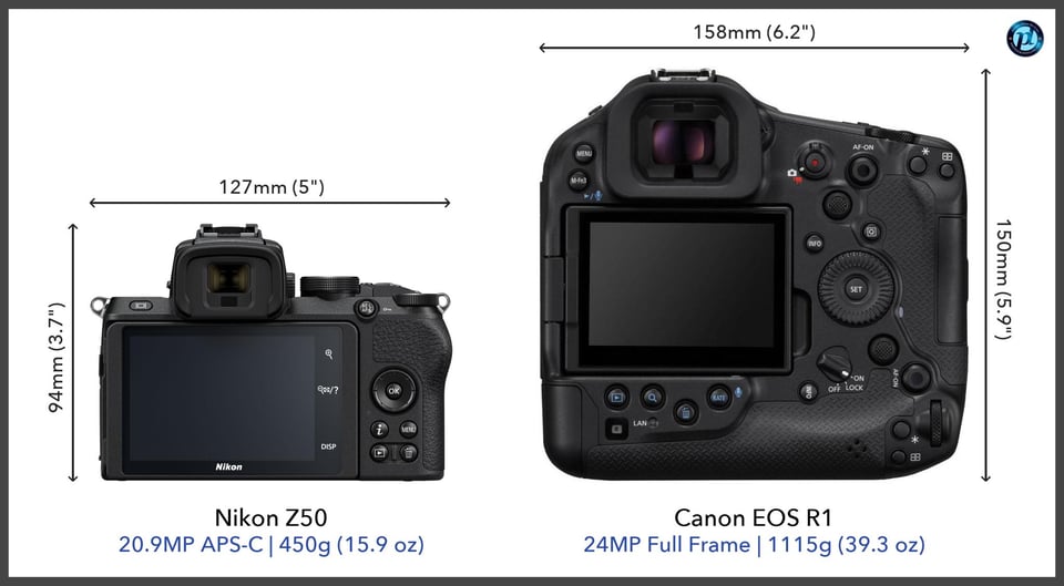 NikonZ50_vs_CanonEOSR1_comparison_back