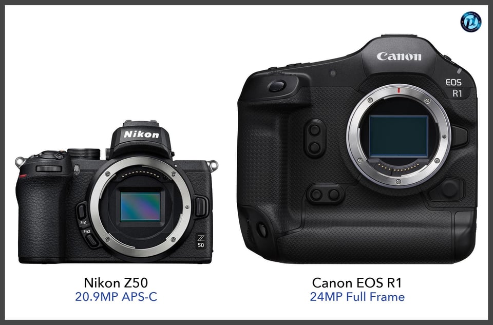 NikonZ50_vs_CanonEOSR1_comparison_front