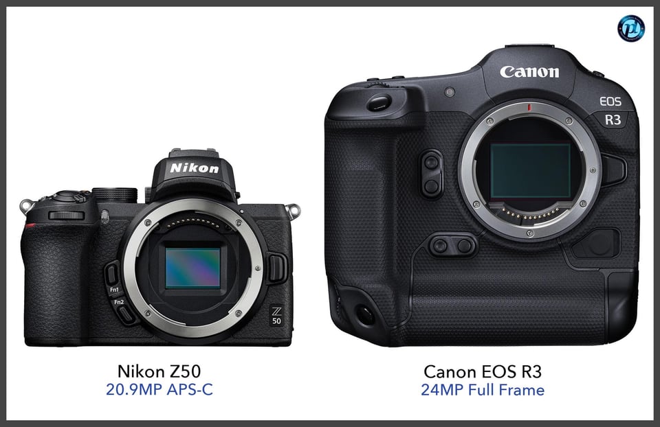 NikonZ50_vs_CanonEOSR3_comparison_front