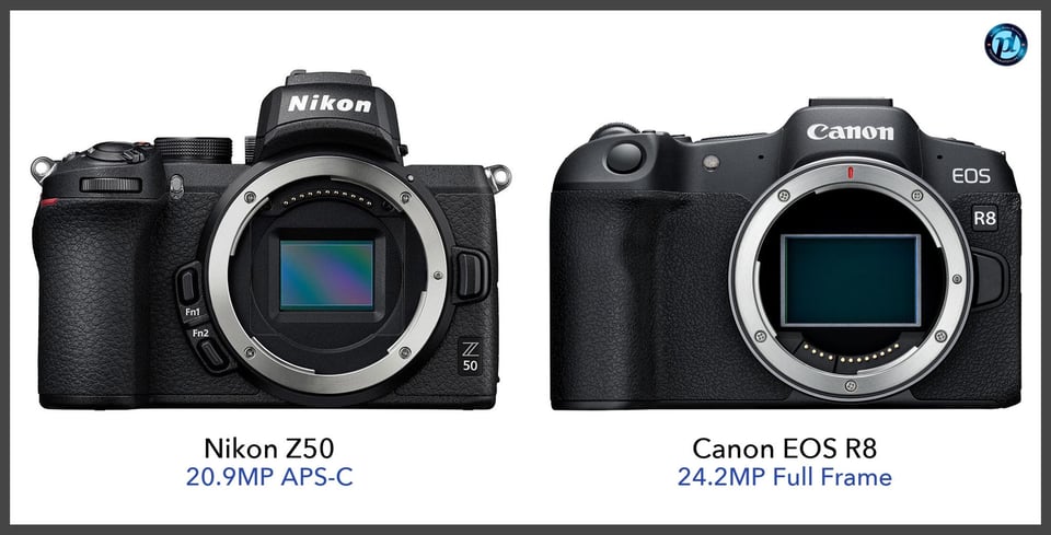 NikonZ50_vs_CanonEOSR8_comparison_front