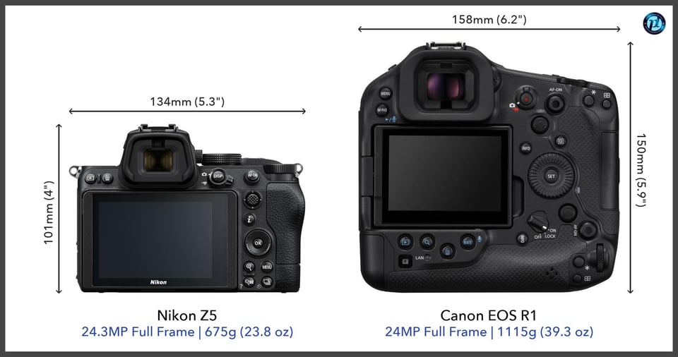 NikonZ5_vs_CanonEOSR1_comparison_back