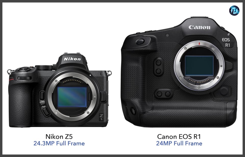 NikonZ5_vs_CanonEOSR1_comparison_front