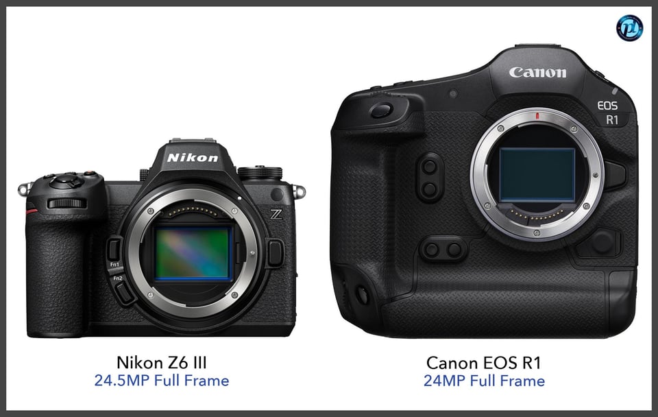 NikonZ6III_vs_CanonEOSR1_comparison_front