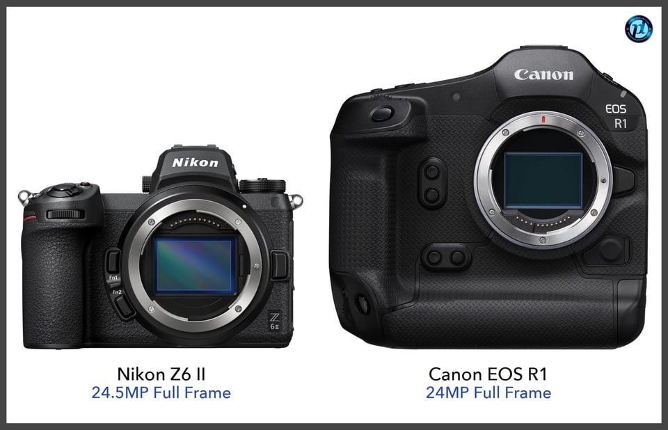 NikonZ6II_vs_CanonEOSR1_comparison_front