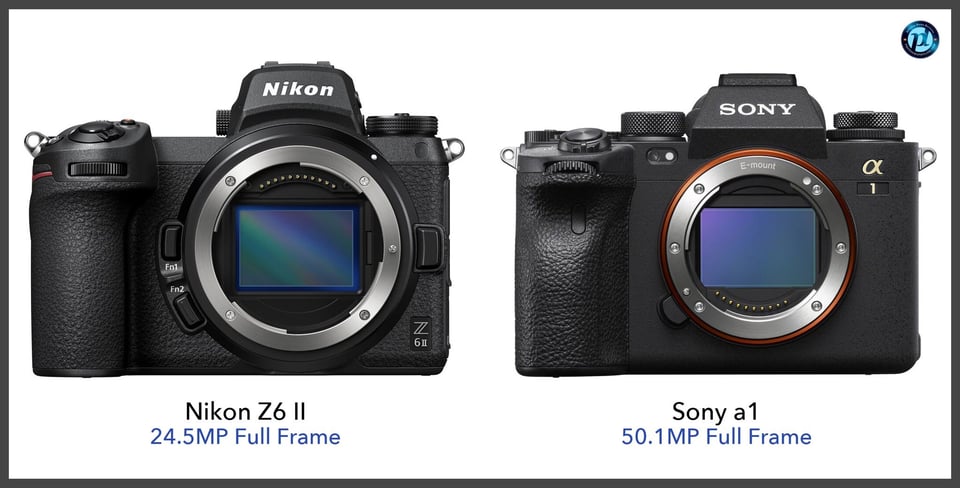 NikonZ6II_vs_Sonya1_comparison_front