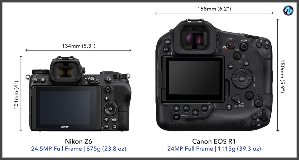 NikonZ6_vs_CanonEOSR1_comparison_back