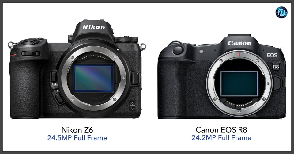 NikonZ6_vs_CanonEOSR8_comparison_front