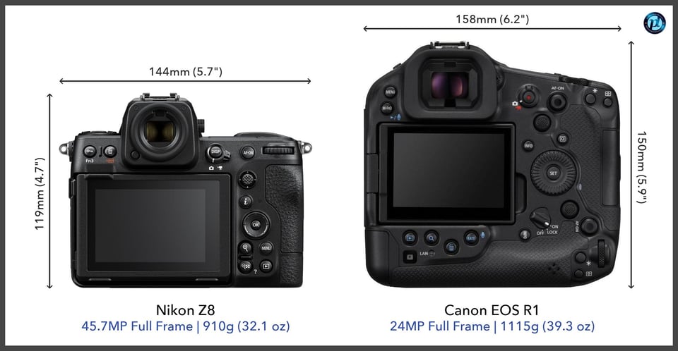 NikonZ8_vs_CanonEOSR1_comparison_back