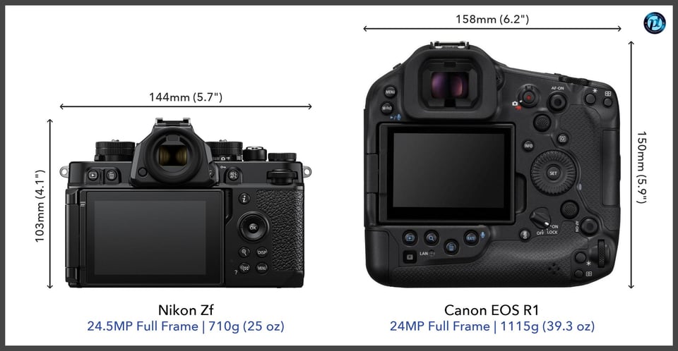 NikonZf_vs_CanonEOSR1_comparison_back