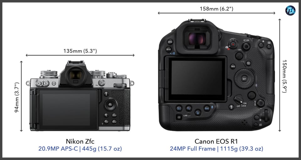 NikonZfc_vs_CanonEOSR1_comparison_back