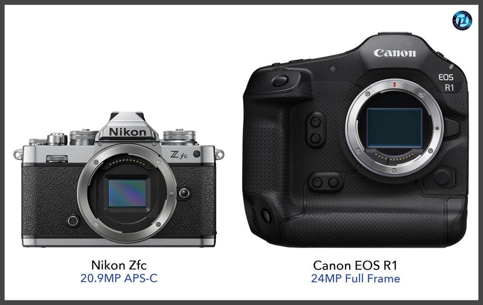 NikonZfc_vs_CanonEOSR1_comparison_front