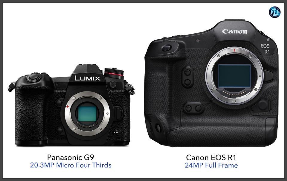 PanasonicG9_vs_CanonEOSR1_comparison_front