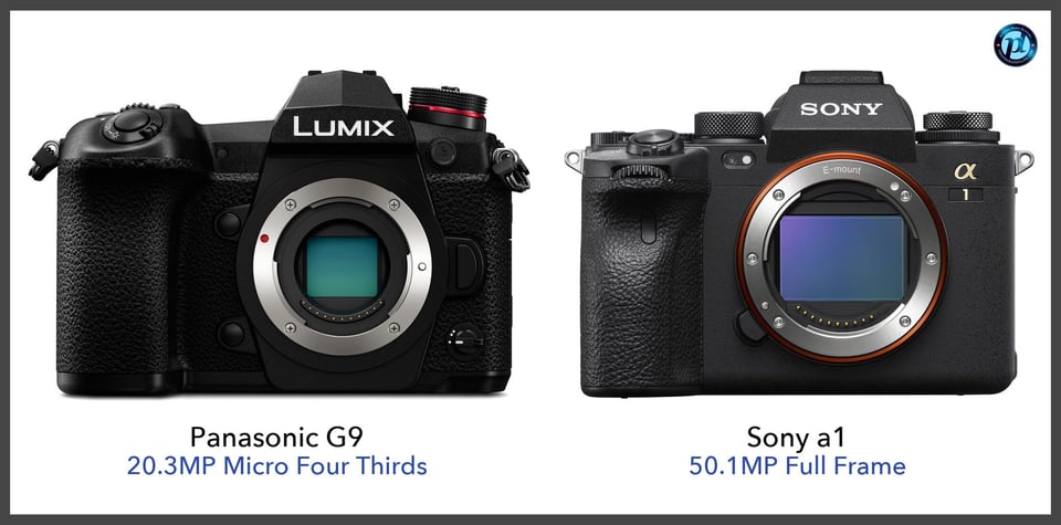 PanasonicG9_vs_Sonya1_comparison_front