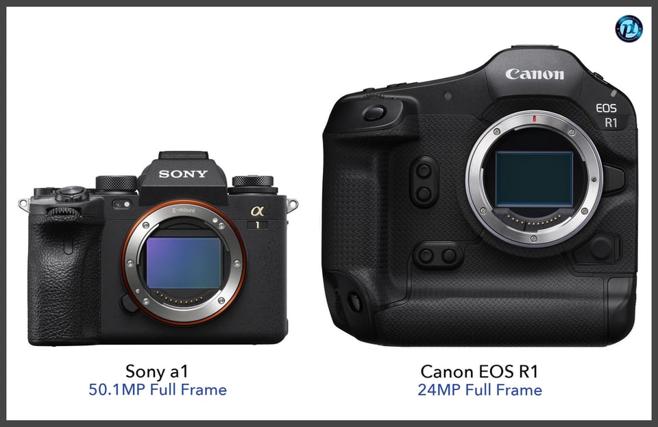 Sonya1_vs_CanonEOSR1_comparison_front