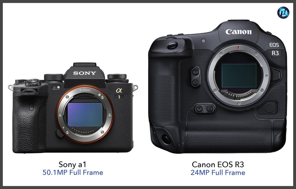 Sonya1_vs_CanonEOSR3_comparison_front