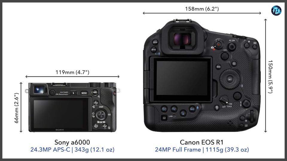 Sonya6000_vs_CanonEOSR1_comparison_back