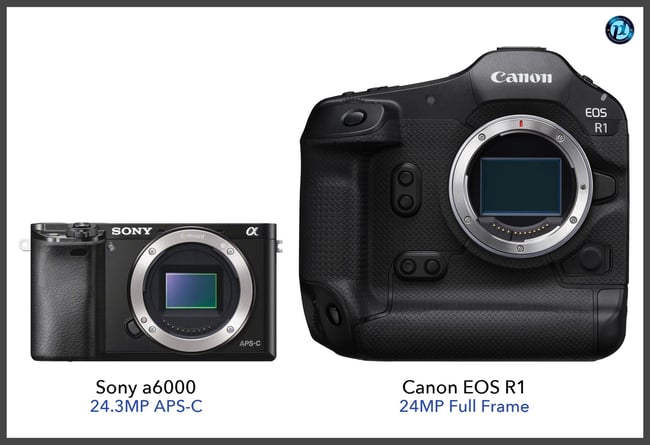 Photography Life’s Camera Comparison Database Published!