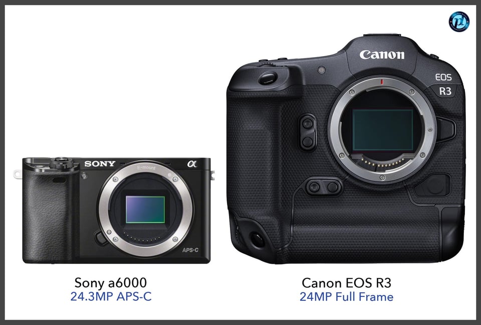 Sonya6000_vs_CanonEOSR3_comparison_front