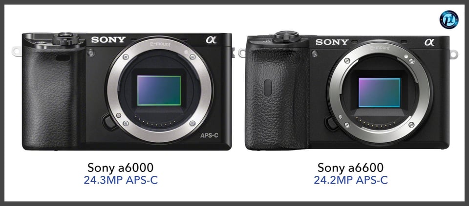 Sonya6000_vs_Sonya6600_comparison_front