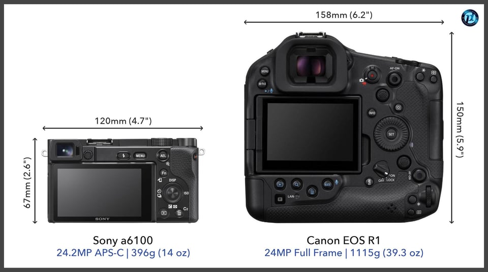 Sonya6100_vs_CanonEOSR1_comparison_back