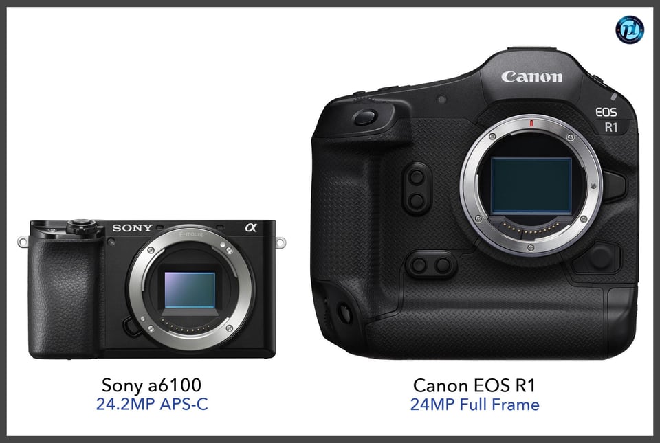 Sonya6100_vs_CanonEOSR1_comparison_front