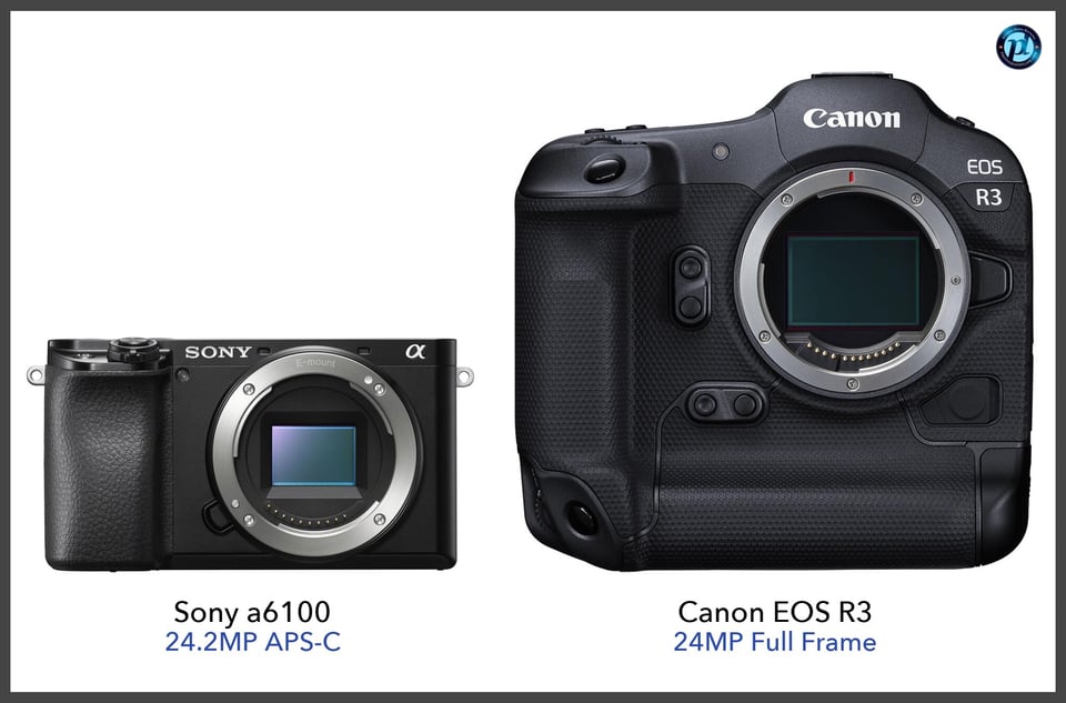 Sonya6100_vs_CanonEOSR3_comparison_front