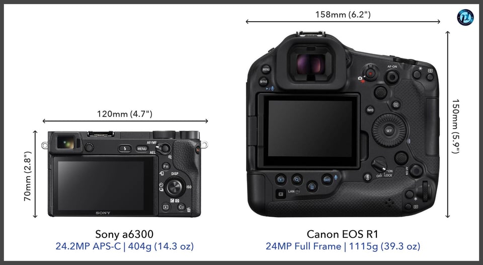 Sonya6300_vs_CanonEOSR1_comparison_back