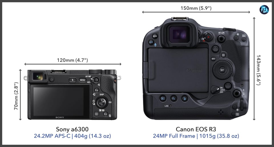 Sonya6300_vs_CanonEOSR3_comparison_back