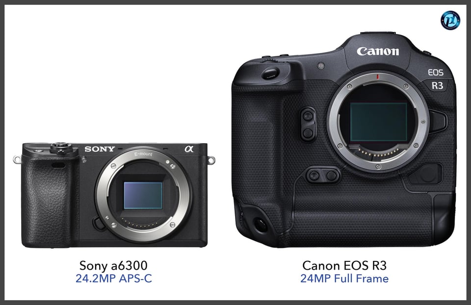 Sonya6300_vs_CanonEOSR3_comparison_front