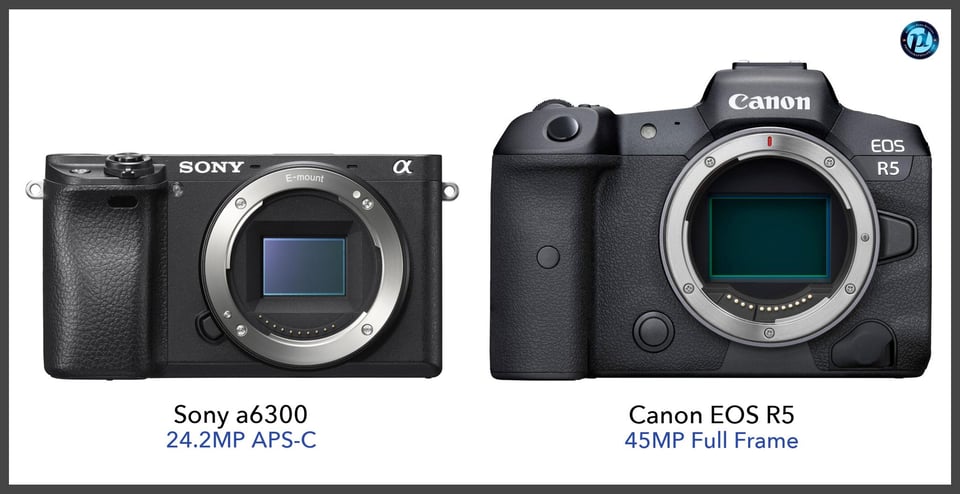 Sonya6300_vs_CanonEOSR5_comparison_front