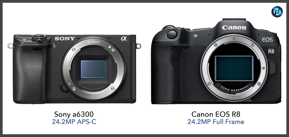 Sonya6300_vs_CanonEOSR8_comparison_front