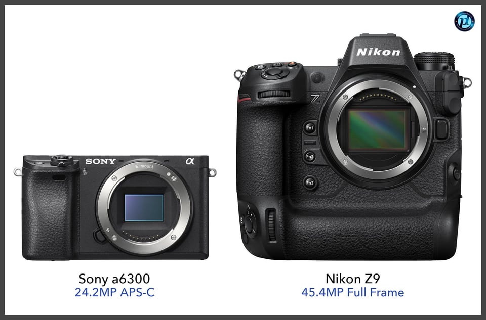 Sonya6300_vs_NikonZ9_comparison_front